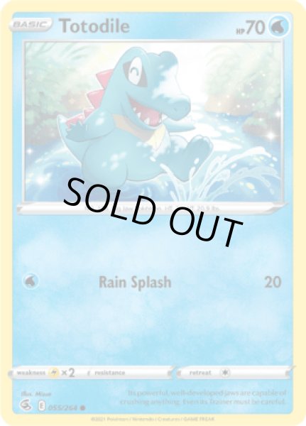 画像1: Totodile(ワニノコ)[055/264] (1)