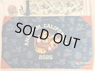 wcs2025 アナハイム - らぐなろっくゲーミング