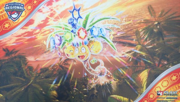 画像1: アローラナッシー プレイマット (1)