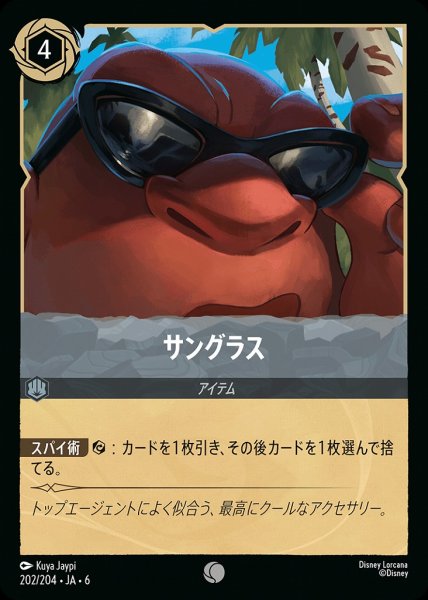 画像1: サングラス(202/204-6)  【C】 (1)