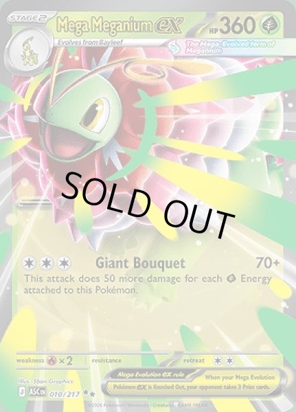 画像1: Mega Meganium ex(メガメガニウム)[010/217] (1)
