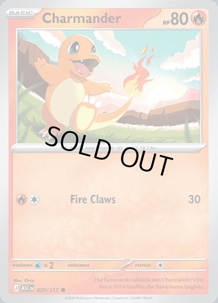 画像1: Charmander(ヒトカゲ)[020/217] (1)