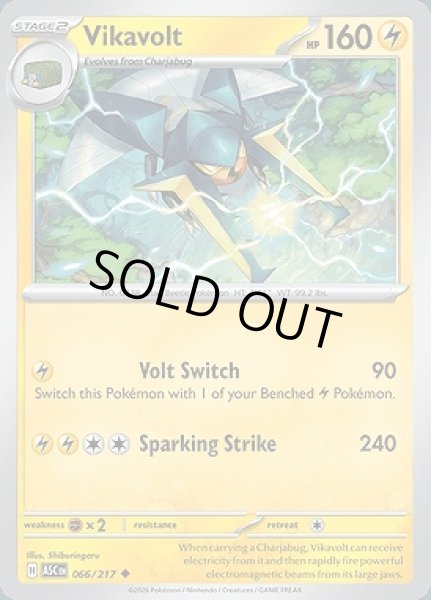 画像1: Vikavolt(クワガノン)[066/217] (1)