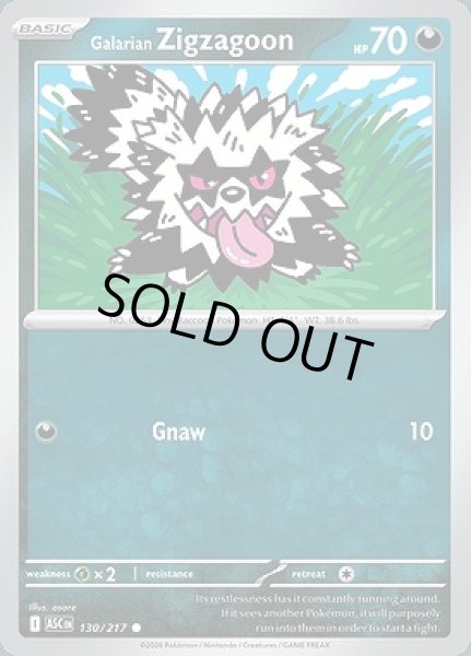 画像1: Galarian Zigzagoon(ガラルジグザグマ)[130/217] (1)