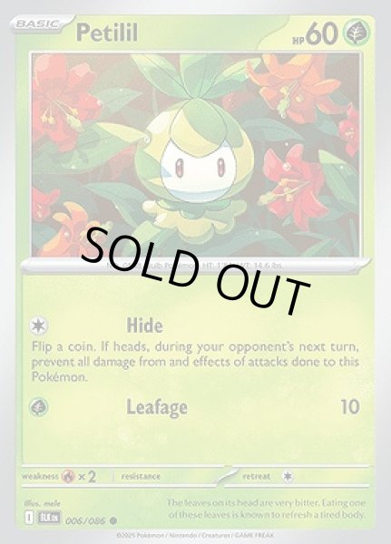 画像1: Petilil(チュリネ)[006/086] (1)