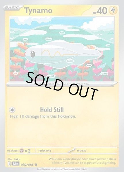 画像1: Tynamo(シビシラス)[030/086] (1)