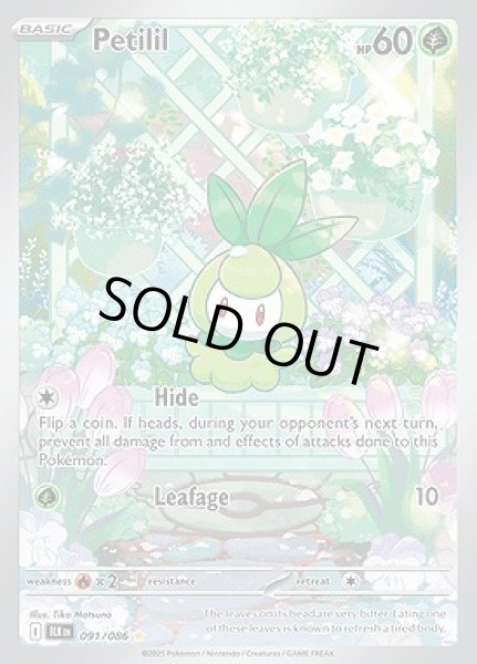 画像1: Petilil(チュリネ)[091/086] (1)