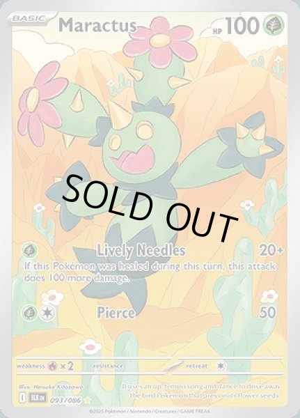 画像1: Maractus(マラカッチ)[093/086] (1)