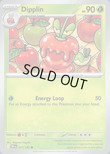 画像1: Dipplin(カミッチュ)[017/182] (1)