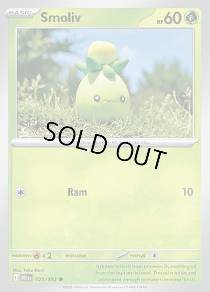 画像1: Smoliv(ミニーブ)[021/182] (1)