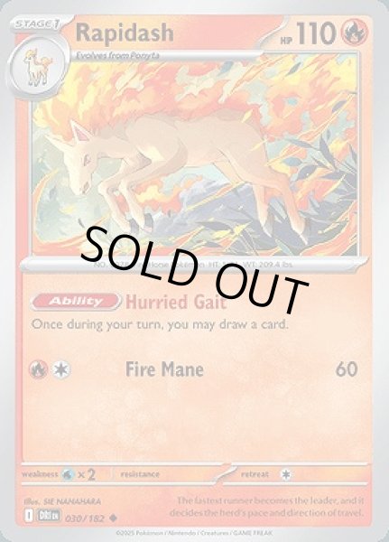 画像1: Rapidash(ギャロップ)[030/182] (1)
