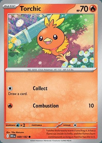 画像1: Torchic(アチャモ)[040/182] (1)