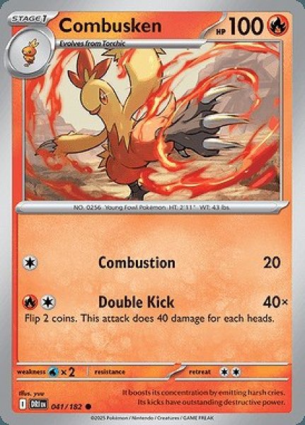 画像1: Combusken(ワカシャモ)[041/182] (1)
