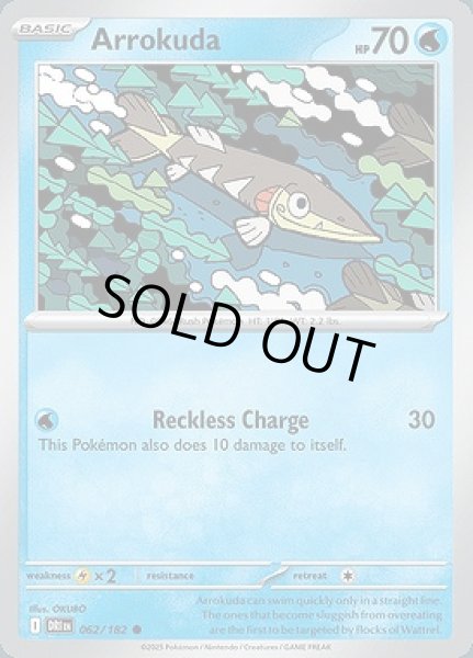 画像1: Arrokuda(サシカマス)[062/182] (1)