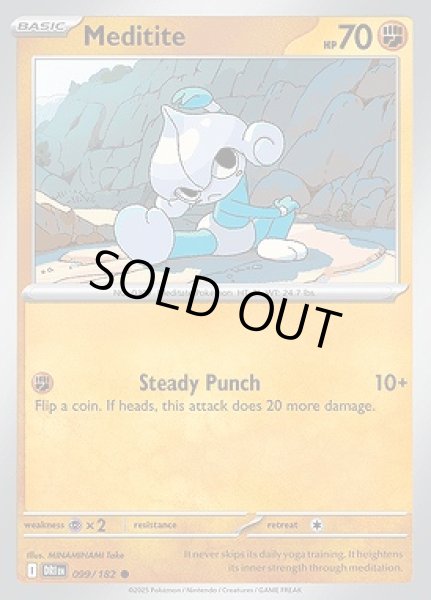 画像1: Meditite(アサナン)[099/182] (1)