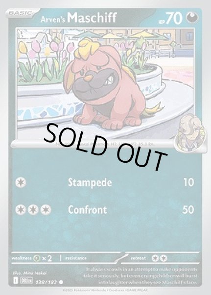 画像1: Arven's Maschiff(ペパーのオラチフ)[138/182] (1)