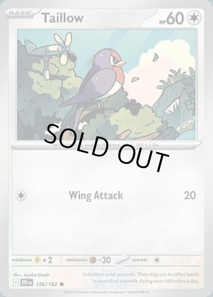 画像1: Taillow(スバメ)[156/182] (1)