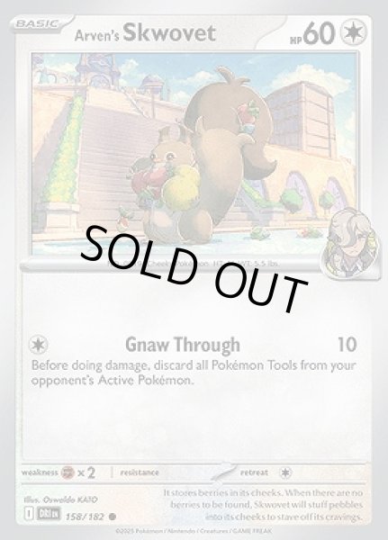 画像1: Arven's Skwovet(ペパーのホシガリス)[158/182] (1)