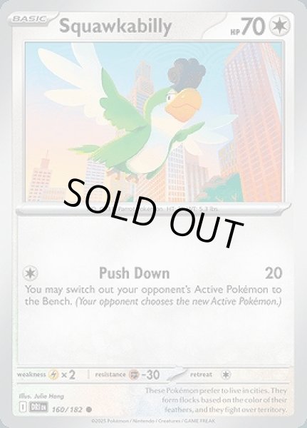 画像1: Squawkabilly(イキリンコ)[160/182] (1)