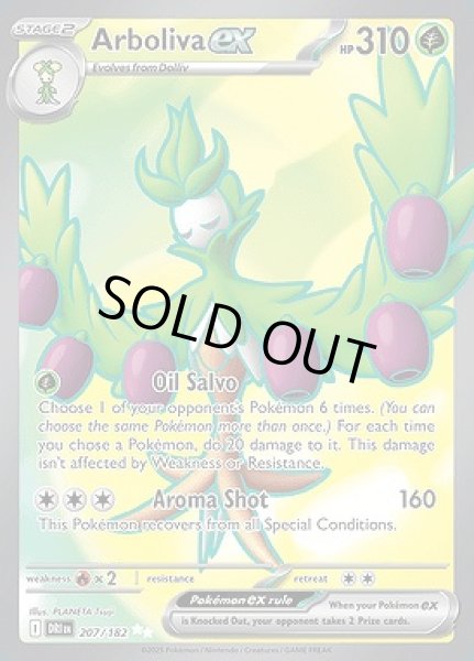 画像1: Arboliva ex(オリーヴァ)[207/182] (1)