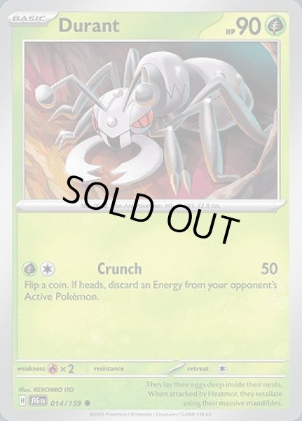 画像1: Durant(アイアント)[014/159] (1)