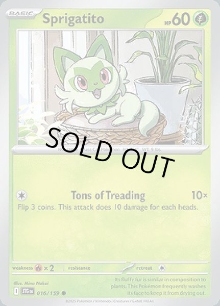 画像1: Sprigatito(ニャオハ)[016/159] (1)