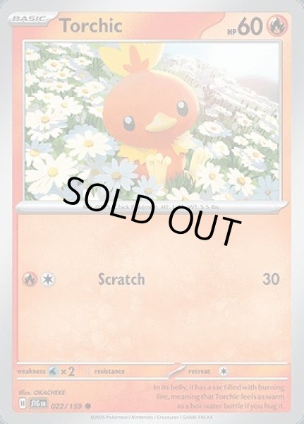 画像1: Torchic(アチャモ)[022/159] (1)