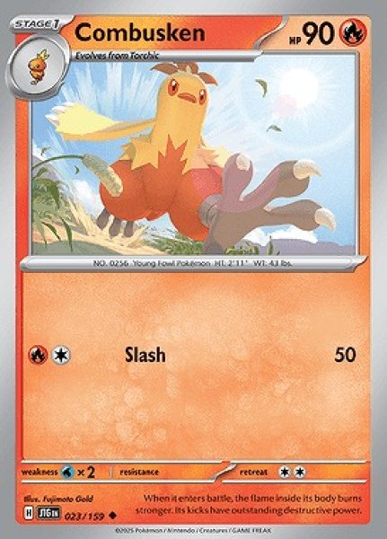 画像1: Combusken(ワカシャモ)[023/159] (1)