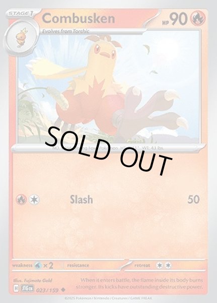 画像1: Combusken(ワカシャモ)[023/159] (1)