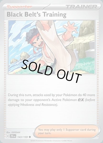 画像1: Black Belt's Training(からておうの稽古)[143/159] (1)