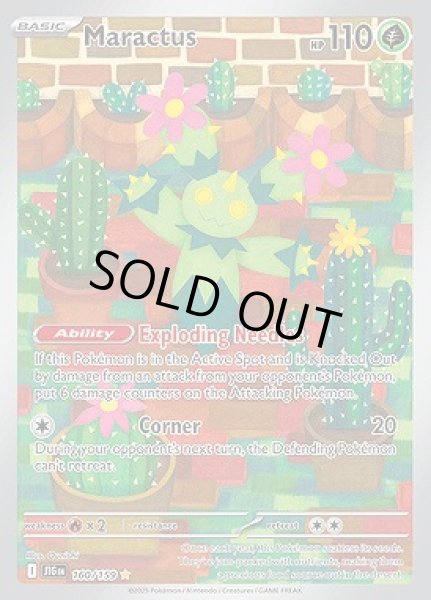 画像1: Maractus(マラカッチ)[160/159] (1)