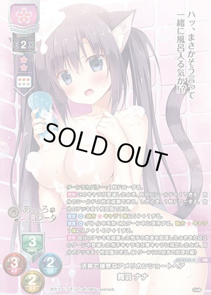 画像1: 活発で強気なアメリカンショートヘア 舞羽 ナナ(KR)LO-6135-K (1)
