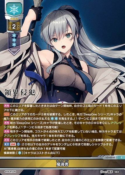 画像1: 魔導書(C)LO-6516 (1)