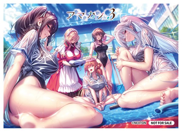 画像1: 【スリーブ】アマカノ3 (21枚セット PRカード無) (1)