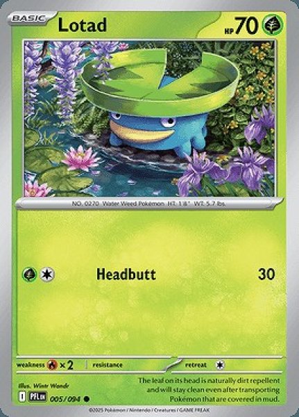 画像1: Lotad(ハスボー)[005/094] (1)