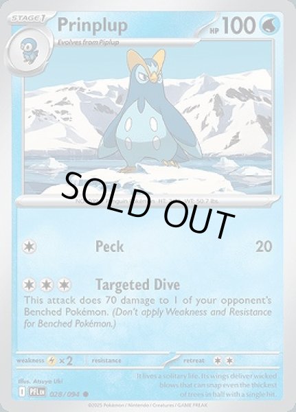 画像1: Prinplup(ポッタイシ)[028/094] (1)