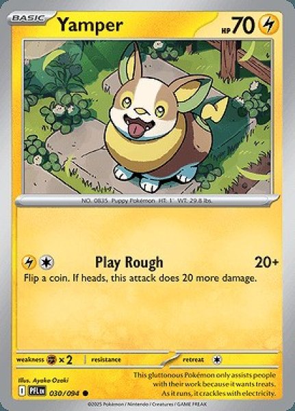 画像1: Yamper(ワンパチ)[030/094] (1)