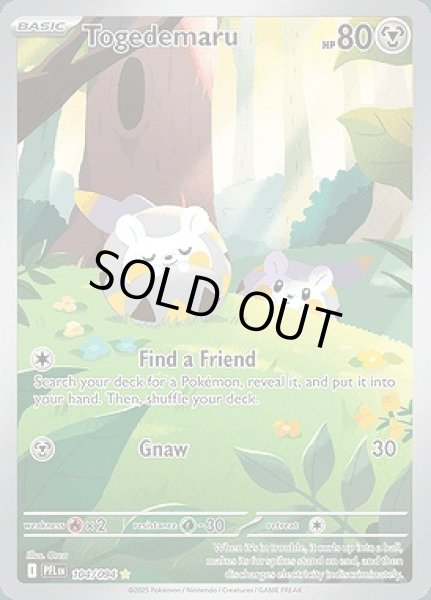 画像1: Togedemaru(トゲデマル)[104/094] (1)