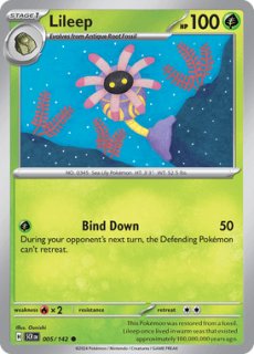 ニドキング　クリスタルタイプ　英語版 CATEGORY Pokemon | Huskita TCG