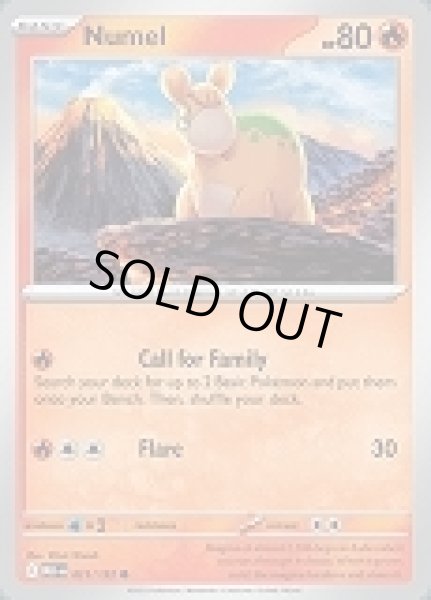 画像1: Numel(ドンメル)[021/132] (1)