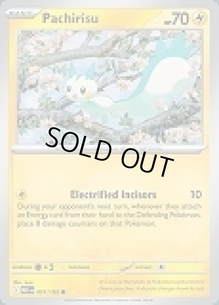 画像1: Pachirisu(パチリス)[051/132] (1)