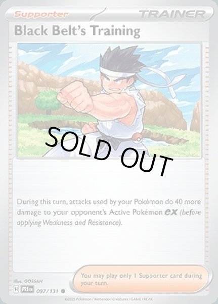 画像1: Black Belt's Training(からておうの稽古)[097/131] (1)