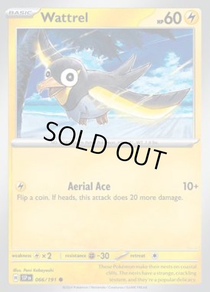 画像1: Wattrel(カイデン)[066/191] (1)