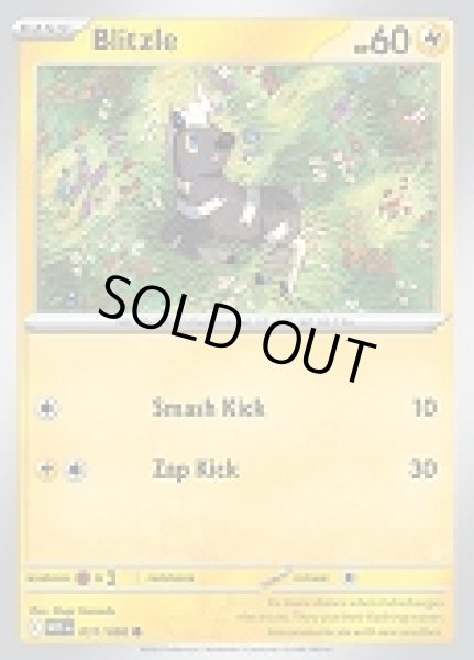 画像1: Blitzle(シママ)[031/086] (1)