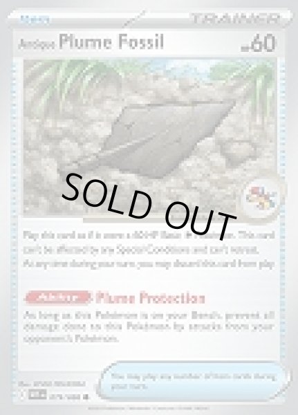 画像1: Antique Plume Fossil(古びたはねの化石)[079/086] (1)