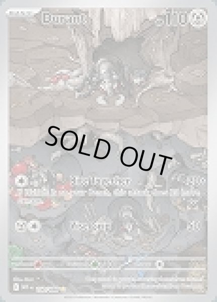 画像1: Durant(アイアント)[150/086] (1)